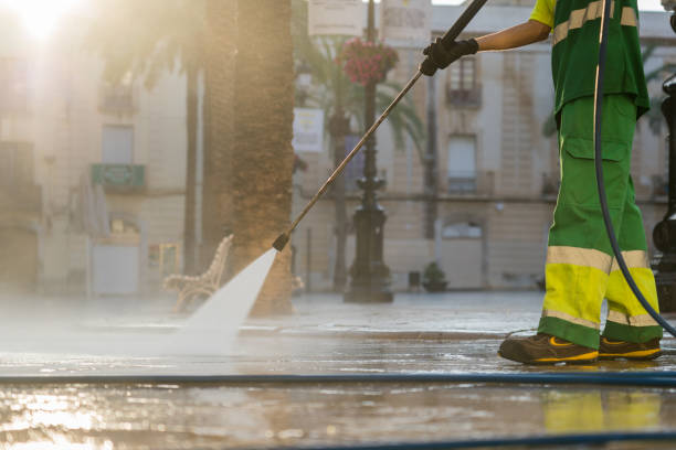 Best Roof Washing  in Cheswold, DE